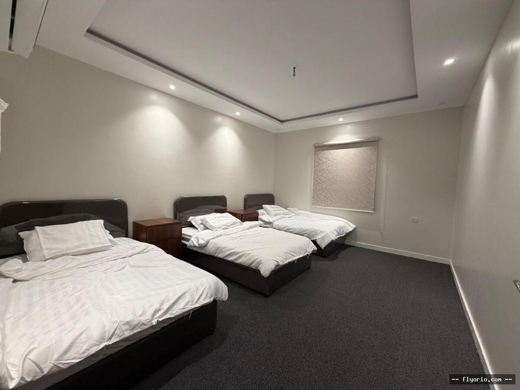 Cozy 3BR Apartment for family Photo