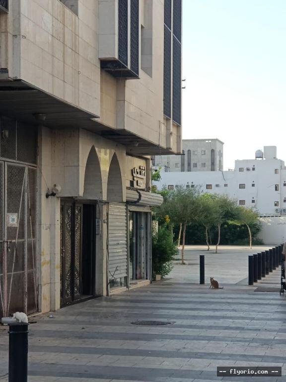 GhRF AHL ALMDYNH MFRWShH MKYFH Photo