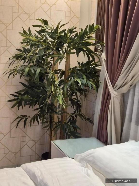 Luxury Studio with self check in Photo